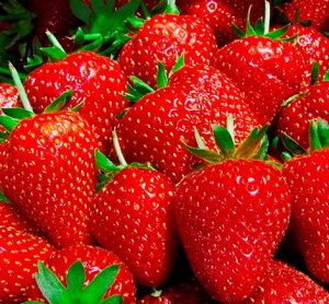 yPi / 3Zbg/5Zbgzc gق2.5`3|bgc傫ɂȂi C`Sc ƒ؉ lC x_ Rei y ȒP  Â