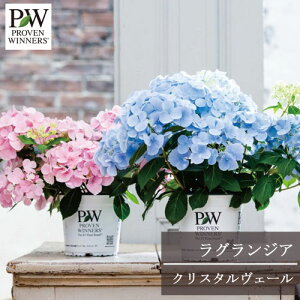 yPi / 3ZbgzAWTC OWA NX^F[2 10.5cm|bgcPW v[EBi[Y Vu nChWA ԕc Ԗؕc 