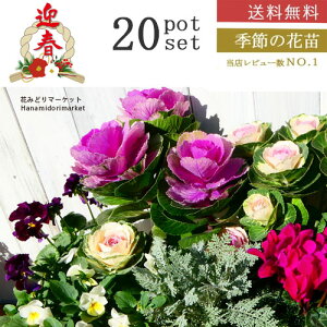 yz }t20|bgZbgiEԐF~bNX 3`3.5|bgK[fjO Ԓd 񂹐A nMO t  H ~ v[g ԕc Ԃ̕c lC ̓