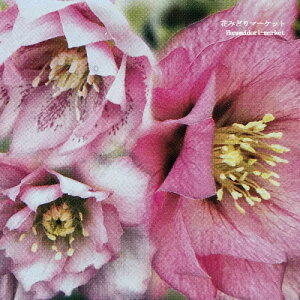 �y�P�i / 3�Z�b�g�z�N���X�}�X���[�Y���d �I���G���^���X �s���N �n 2.5�`3���|�b�g�c�w���{���X ���d �_�u�� �ԕc �h���� ���N�� ���� �Ԓd ���A �V�F�[�h �k����