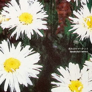 yPi / 3ZbgzVX^[f[W[NCW[f[W[3|bgcyhzyK[fjOzyNzyϊz