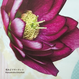 NX}X[Yd IG^Xn o[VunzCg 2.5`3|bgcw{X d  _u  zCg ԕc h N  Ԓd A VF[h k A 