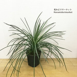 AKx Q~jt[iWF~jt[j 5|bgϗtA hCK[f@A@ϊN