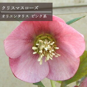 NX}X[YdIG^XnsNn 2.5`3|bgcw{X d ԕc h N  Ԓd A VF[h k