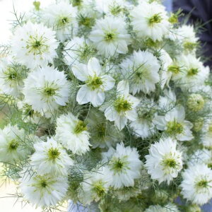 yPi / 3ZbgzjQ O[|bh3|bgcN^l@؉ԁ@hCt[