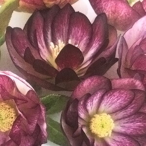 NX}X[Yd IG^Xn z oCJ[n3|bgcw{Xz h N  Ԓd A VF[h k lł 