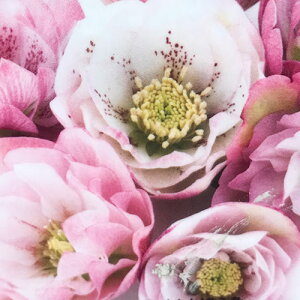 NX}X[Yd IG^Xn z sNn3|bgcw{Xz h N  Ԓd A VF[h k lł 