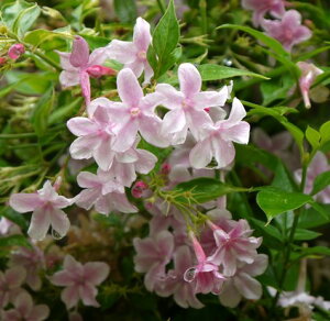 yPi / 3ZbgzWX~i Xet@lZ 3|bgcc  tFX WX~ A[` N