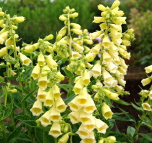 WM^X J 3`3.5|bgctHbNXO[u ԕc N h ϊ Ϗ  zCg