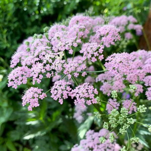 yPi / 3Zbgzssl}[@[A 3|bgcsN[X@CObVK[f h zCgK[f