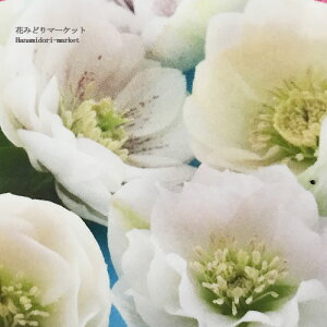 NX}X[Yd IG^Xn z zCgn3|bgcw{Xz h N  Ԓd A VF[h k lł 