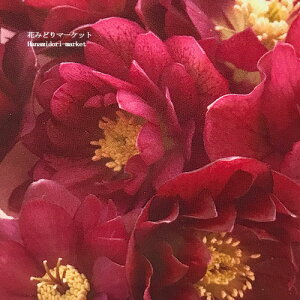 NX}X[Yd IG^Xn z bhn3|bgcw{Xz h N  Ԓd A VF[h k lł 