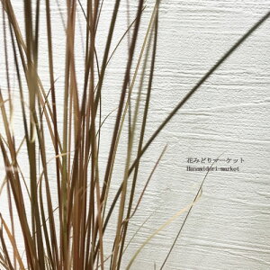 JbNX t@C[tHbNX2.5`3|bgcԕc c OX J[[t CObVK[f h N ϊ Ϗ