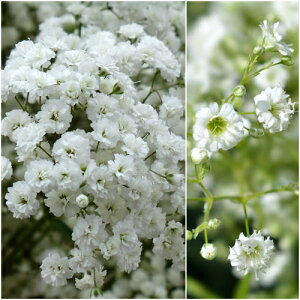 yPi / 3ZbgzhJX~ d`d炫 zCg 3|bgcJX~\E CObVK[f ԕc N h  ؂ ϊ