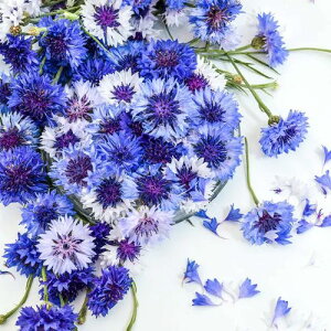 yPi / 3Zbg zZg[A VAkX@NVbNt@^XeBbN3`3.5|bgcԑy؉Ԍz