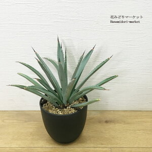 AKx }NAJT gyM4|bgcA@ϗtA@hCK[f