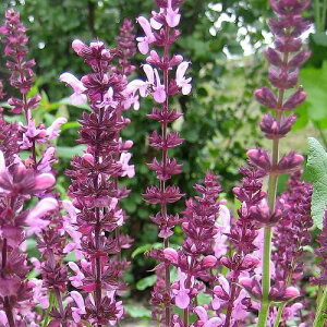 yPi / 3ZbgzhTrA l[TXyo@[Y3|bgcTrA Z[W ԕc N CObVK[f h u[ p[v   ϊ Ϗ 2