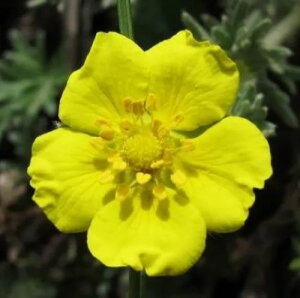 yPi / 3Zbgz|eeB Ju 3|bgci|[eeBjϊ h