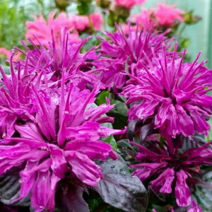 yPi / 3Zbgzi_O[vK{[ 3|bgcxKbg h N č炫 ϊ