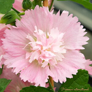 AZA@ZA XvOZueB sN 3|bgc^`AIC zzbN CObVK[f ԕc N h