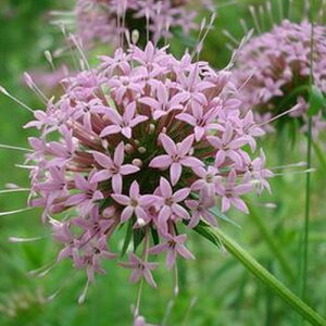 yPi / 3ZbgztHvVX NVAl XeB[T 3.5|bgc niN}o\E ԕc c h N OhJo[ ϊ Ϗ sN