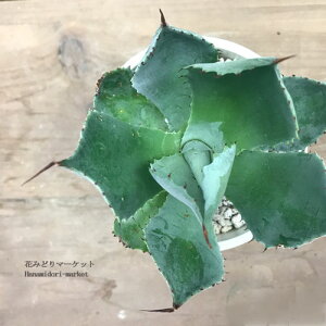 AKx |^gi _j 3.5|bgcijA@ϗtA@hCK[f