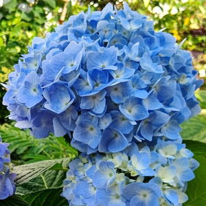 AWTC nChWA@slG炫 3|bgc AWTC  nChWA