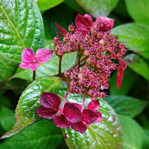 }AWTCԕqiAJxCj3|bgcԕc   Vu A VF[h