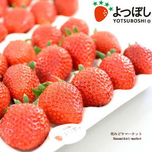 yPi / 3Zbg/5Zbgzc lG萫 ڂ 3|bgc K[fjO ƒ؉ x_؉  c lC C`S C`Sc