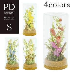 PD RNOX t[AW S IF-133hCt[ vU[uht[ S4F sN zCg u[ CG[ v[g Mtg hV̓ CeA G a j 