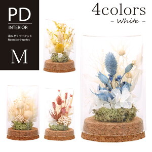 PD RNOX t[zCgAW M IF-148hCt[ vU[uht[ S4F sN zCg u[ CG[ v[g Mtg hV̓ CeA G a