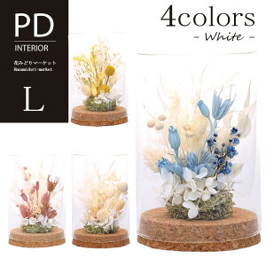 PD RNOX t[zCgAW L IF-147hCt[ vU[uht[ S4F sN zCg u[ CG[ v[g Mtg hV̓ CeA G a