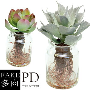 tFCNA () PDCeA FA-1001