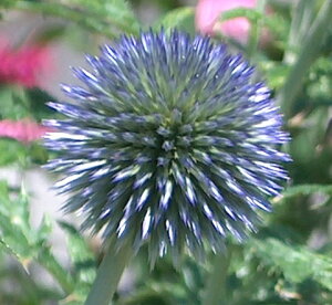 yPi / 3ZbgzGLmvX ejNX v`iu[ 3.5|bgc^}AU~ ԕc N h CObVK[f u[ p[v   ϊ Ϗ ؂