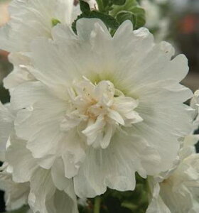 yPi / 3ZbgzAZA ZA XvOZueB zCg 3|bgc^`AIC zzbNCObVK[f h