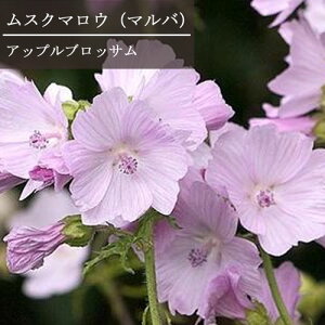 yPi / 3ZbgzXN}E }o AbvubT 3|bgcԕc h N CObVK[f  ϊ Ϗ sN