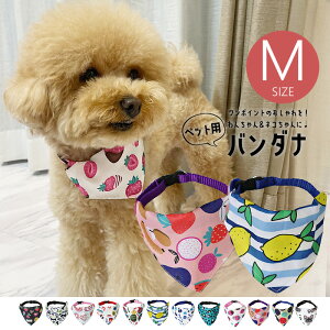 ybgp o_i    L  Lbg hbO XJ[t ANZT[ ybgpi ybgObY MTCY PiyDH-39Mz