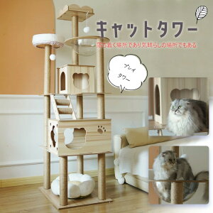Lbg^[ ؐ FD ^ X L^[ u ܂Ƃ ^[   ^s R 185cm B Vя ZL ^L ^ L VjAL qL ybg yDH-