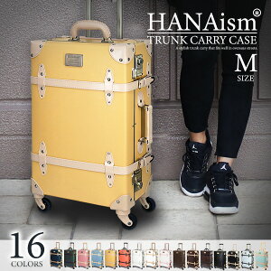 X[cP[X MTCY L[P[X L[obO TSAbN  y ^ gN CO  s  킢 q IV HANAismyNNz