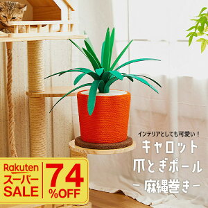 _yVX[p[SALE^ ܂Ƃ|[ Lbg L ܂Ƃ ɑ |[ ꊪ 50.5cm u ؐ LbgXNb`[ ybgpi Lpi Lpi   R CeC