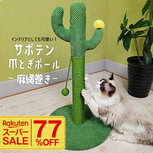 _yVX[p[SALE^ ܂Ƃ|[ T{e L ܂Ƃ |[ ꊪ 67.5cm u ؐ LbgXNb`[ ybgpi Lpi Lpi   R CeCA 