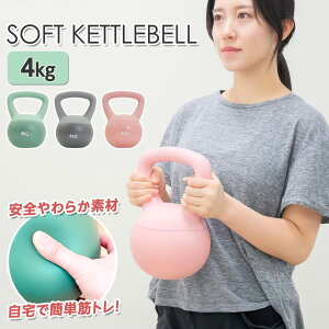 Pgx 4kg \tgPgx _x SAC ؃g _CGbg ؗ̓g[jO ̗̓Abv  kCAꌧAyWz