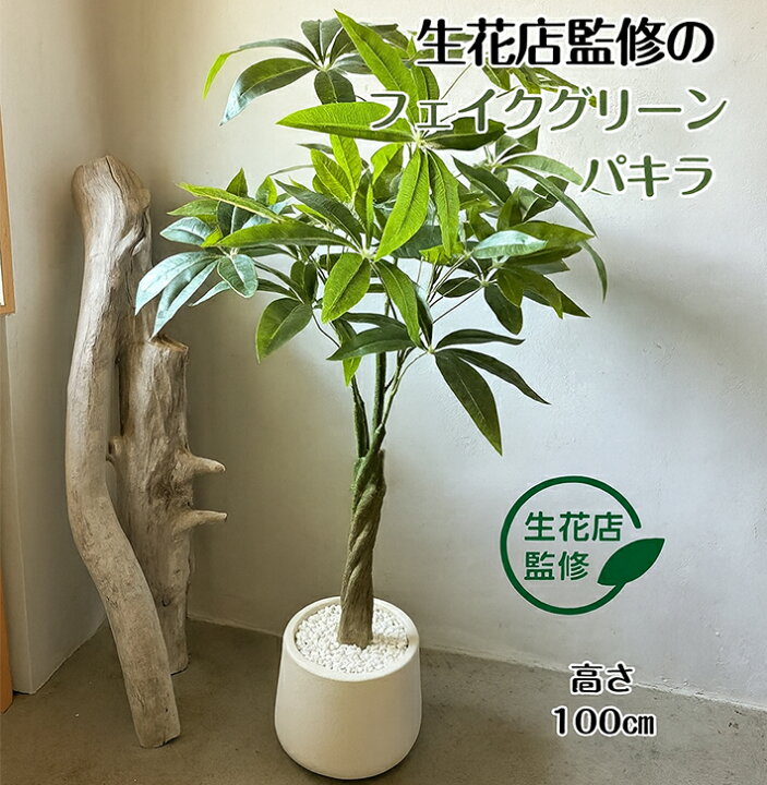 楽天市場】パキラ 人工観葉植物 フェイクグリーン 観葉植物 フェイク 