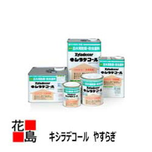 y@llzyIzyLVfR[@₷炬@z@16L@ʁ@؍ށ@ؗpیh