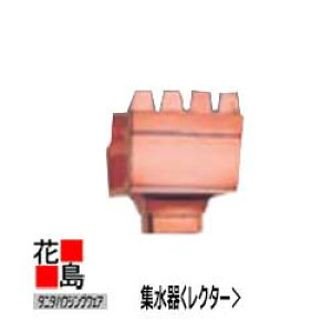 JƂ J@^j^nEWOEFA@^j^ X[p[JƂyW@N^[@pzS4041R @R6 @pi76x46jyszy{ʁz