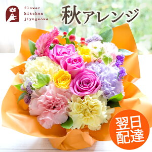 H ͂Ȃ₩AW  Ԍyzo ǂ  t[ Mtg abZ[WJ[ht LO j v[g hV̓ ykCEyї͂͂s