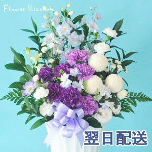 yyz[_XggLTCYyԁzy摜zMz݉///@/ފ/~//yV~zFKAA