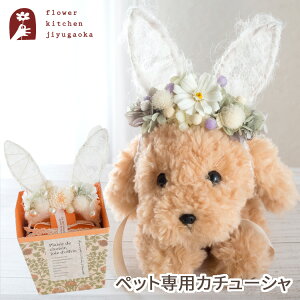 ybgpԂ̃J`[Vuchouchou-VV-vvU[uht[ A[gt[ hCt[ \[vt[ ͂Ȃ a  L ybgp J`[V 蕨 ybg RX