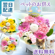 【ペット専用】ペットのお供え 虹の橋アレンジ【送料無料】フラワー 花 お悔み お供え ペット アレンジメ…