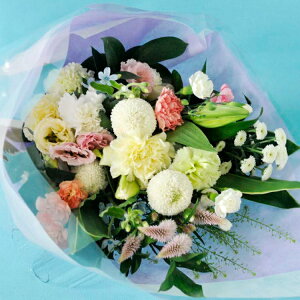    mԂg{̂܂  LTCY  @ r 摜zM   ybg ԑ AW ~ V~ ފ  bZ[WJ[ht D  Nꌇ